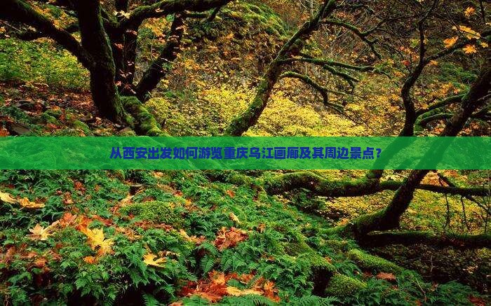 从西安出发如何游览重庆乌江画廊及其周边景点？