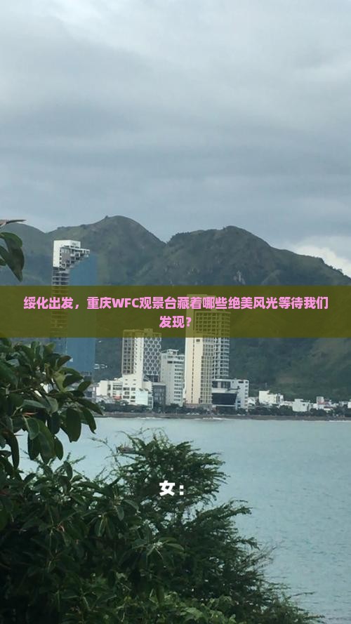 绥化出发，重庆WFC观景台藏着哪些绝美风光等待我们发现？