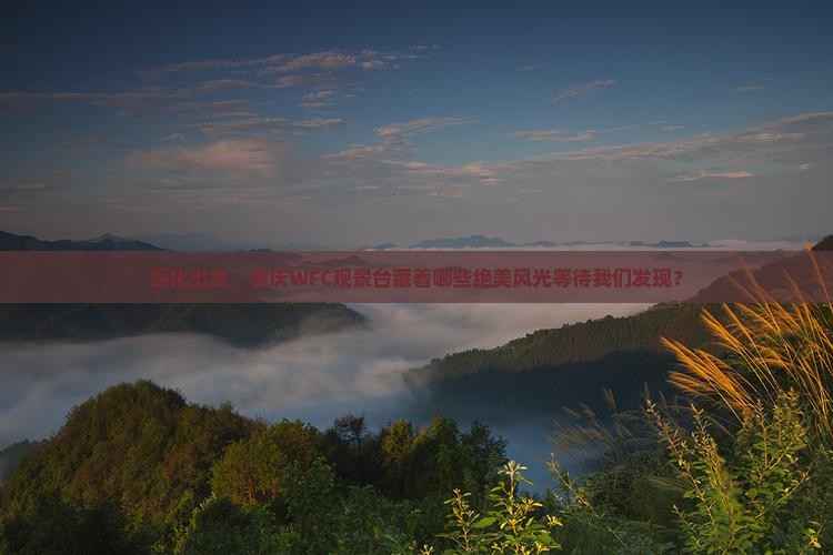 绥化出发，重庆WFC观景台藏着哪些绝美风光等待我们发现？