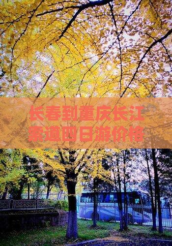 长春到重庆长江索道四日游价格及路线