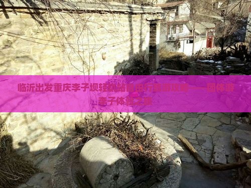 临沂出发重庆李子坝轻轨站自由行旅游攻略——团体游李子体验之旅