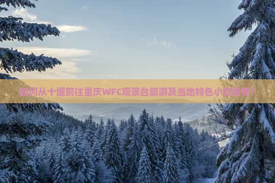 如何从十堰前往重庆WFC观景台旅游及当地特色小吃推荐？