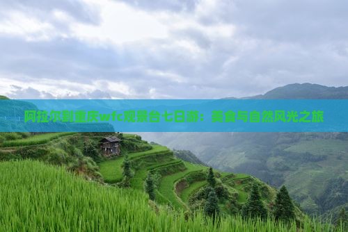 阿拉尔到重庆wfc观景台七日游：美食与自然风光之旅