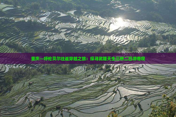 重庆—呼伦贝尔往返穿越之旅：探寻武隆天生三桥二日游奇观