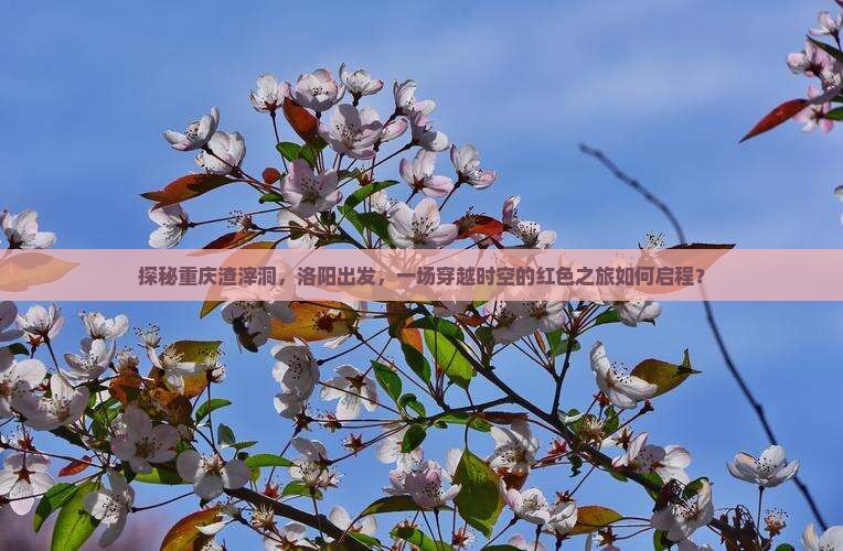探秘重庆渣滓洞，洛阳出发，一场穿越时空的红色之旅如何启程？
