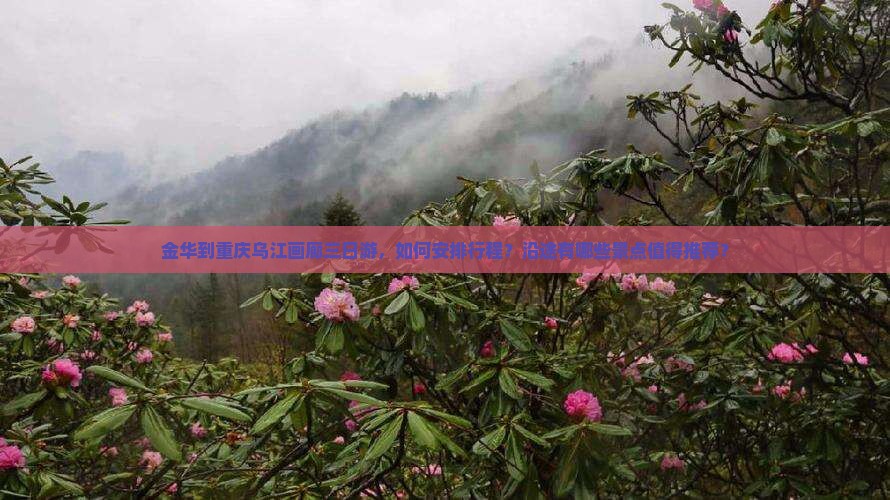 金华到重庆乌江画廊三日游，如何安排行程？沿途有哪些景点值得推荐？