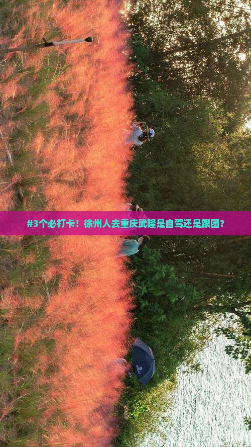 #3个必打卡！徐州人去重庆武隆是自驾还是跟团？