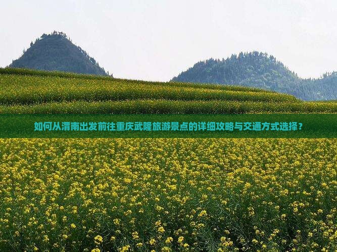 如何从渭南出发前往重庆武隆旅游景点的详细攻略与交通方式选择？