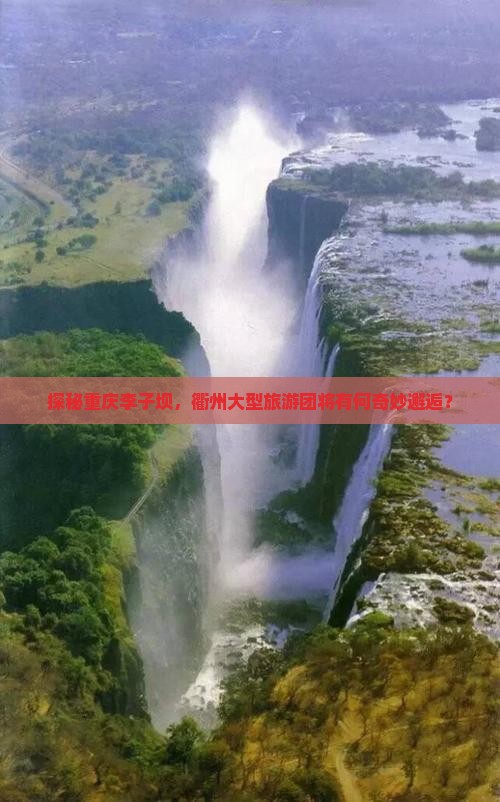 探秘重庆李子坝，衢州大型旅游团将有何奇妙邂逅？