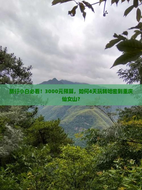 旅行小白必看！3000元预算，如何4天玩转哈密到重庆仙女山？