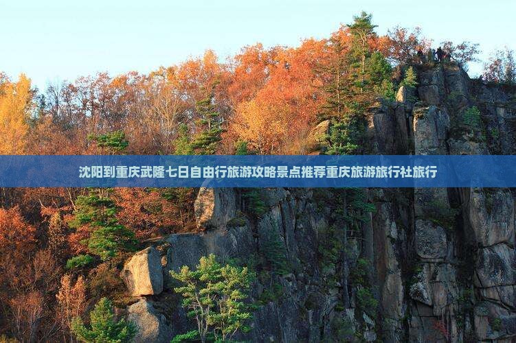 沈阳到重庆武隆七日自由行旅游攻略景点推荐重庆旅游旅行社旅行