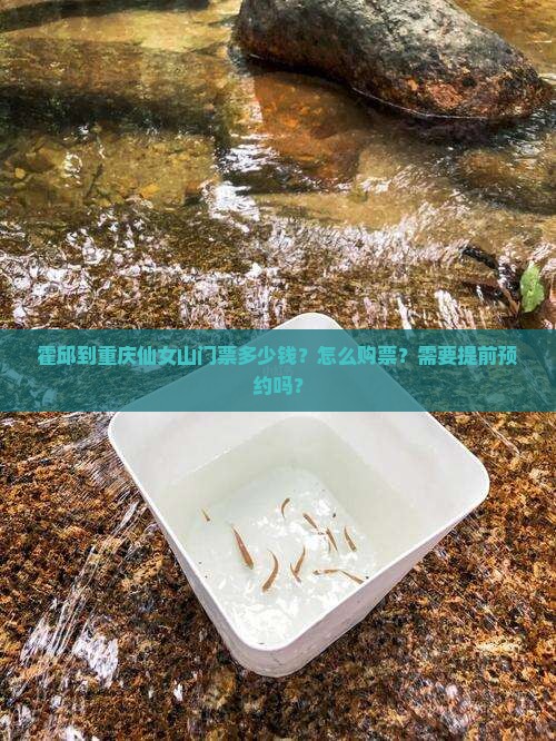 霍邱到重庆仙女山门票多少钱？怎么购票？需要提前预约吗？