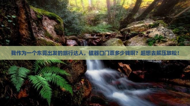 我作为一个东莞出发的旅行达人，磁器口门票多少钱啊？超想去解压放松！