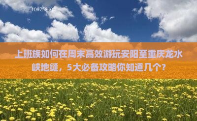 上班族如何在周末高效游玩安阳至重庆龙水峡地缝，5大必备攻略你知道几个？