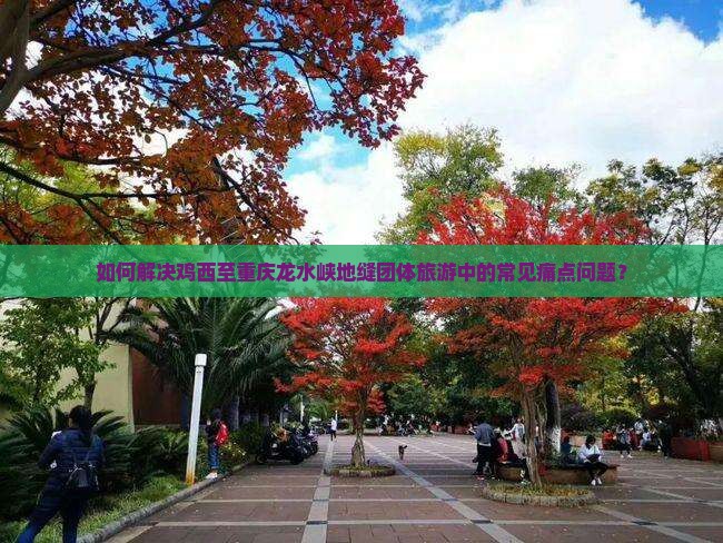 如何解决鸡西至重庆龙水峡地缝团体旅游中的常见痛点问题？