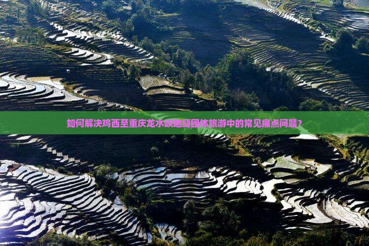 如何解决鸡西至重庆龙水峡地缝团体旅游中的常见痛点问题？