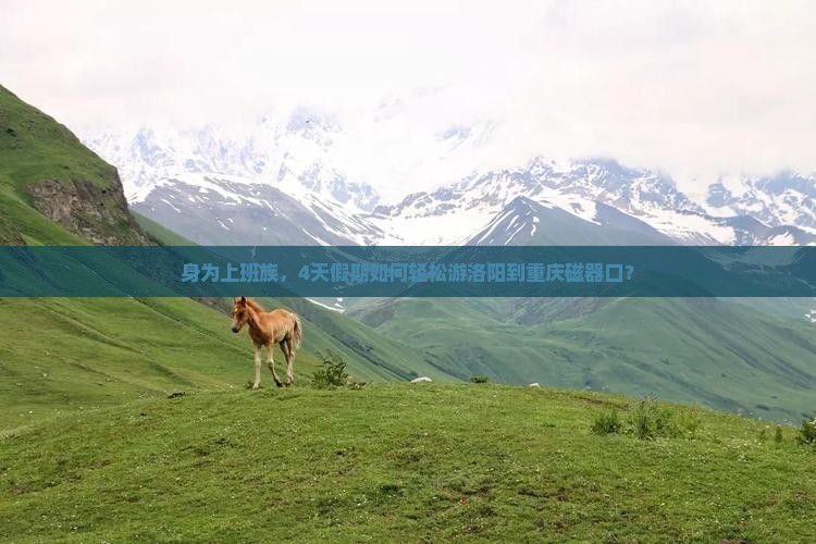 身为上班族，4天假期如何轻松游洛阳到重庆磁器口？