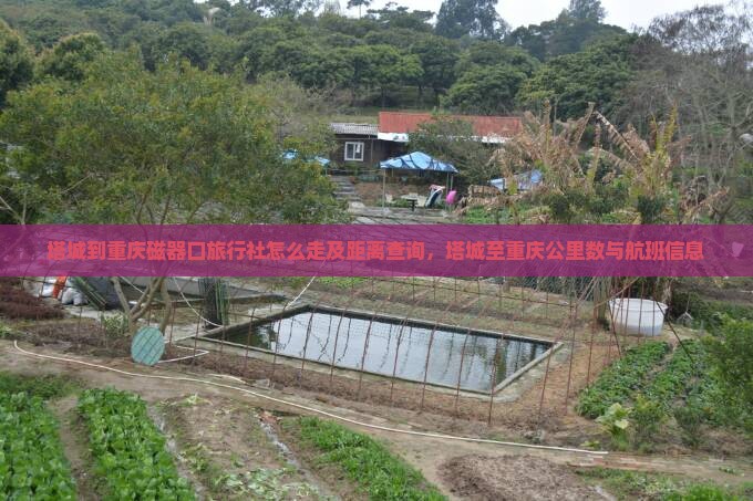 塔城到重庆磁器口旅行社怎么走及距离查询，塔城至重庆公里数与航班信息