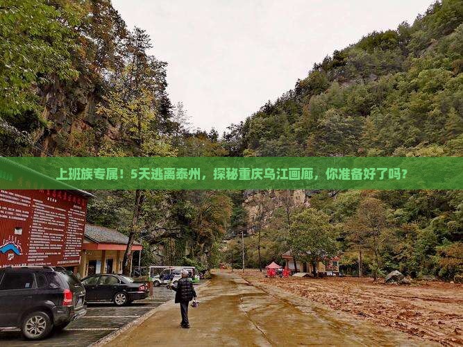 上班族专属！5天逃离泰州，探秘重庆乌江画廊，你准备好了吗？