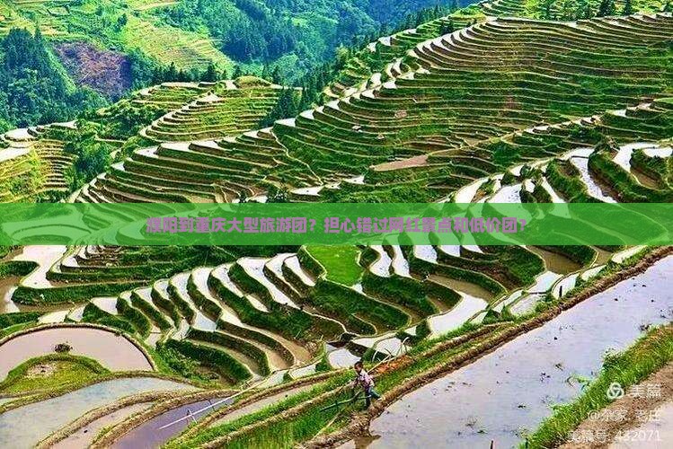 濮阳到重庆大型旅游团？担心错过网红景点和低价团？