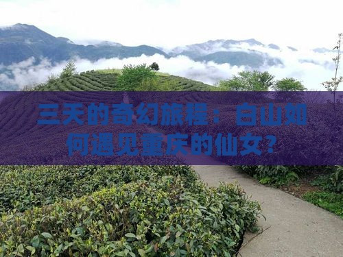 三天的奇幻旅程：白山如何遇见重庆的仙女？
