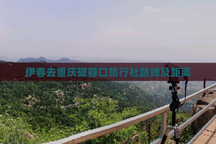 伊春去重庆磁器口旅行社路线及距离