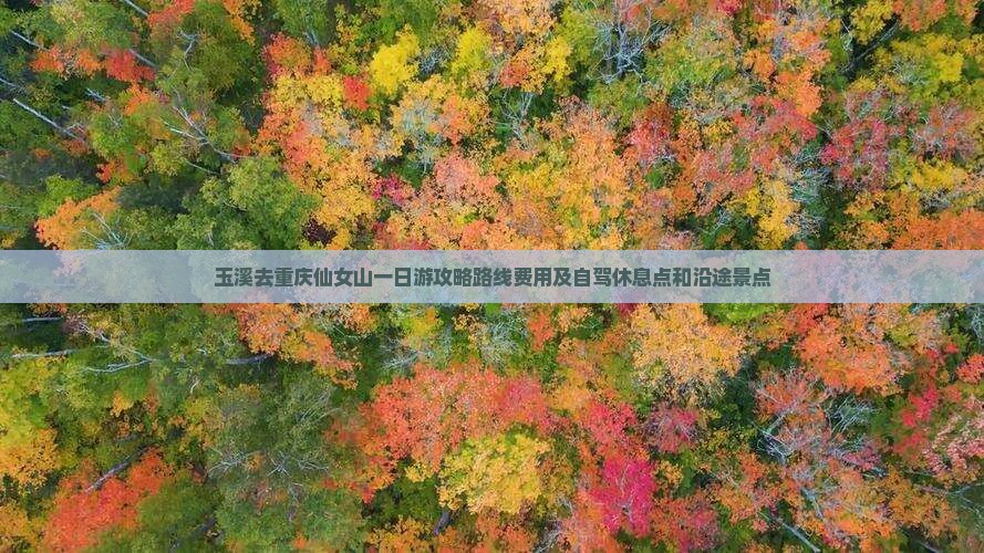 玉溪去重庆仙女山一日