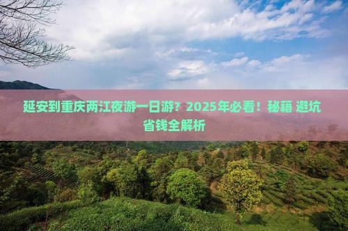 延安到重庆两江夜游一日