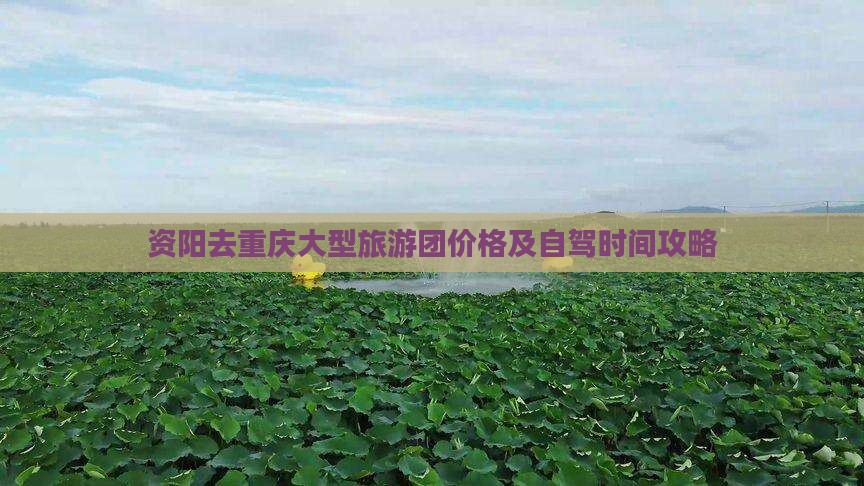 资阳去重庆大型旅游团
