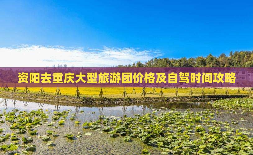 资阳去重庆大型旅游团