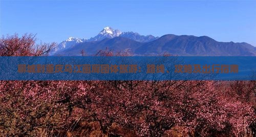 聊城到重庆乌江画廊团体旅游