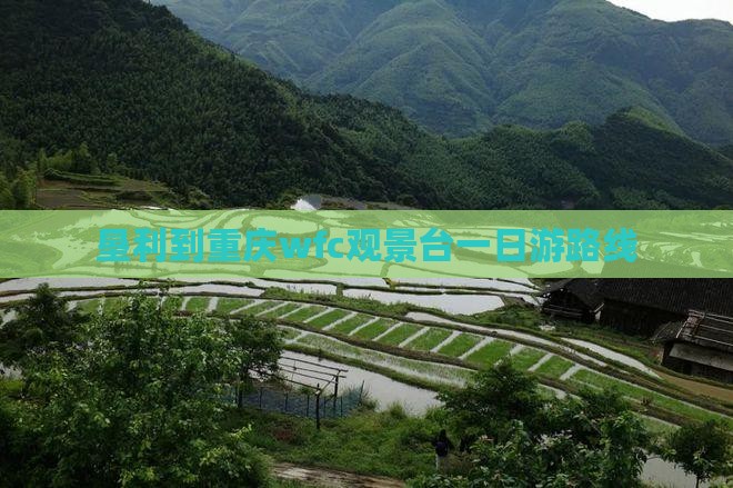 垦利到重庆wfc观景台一日