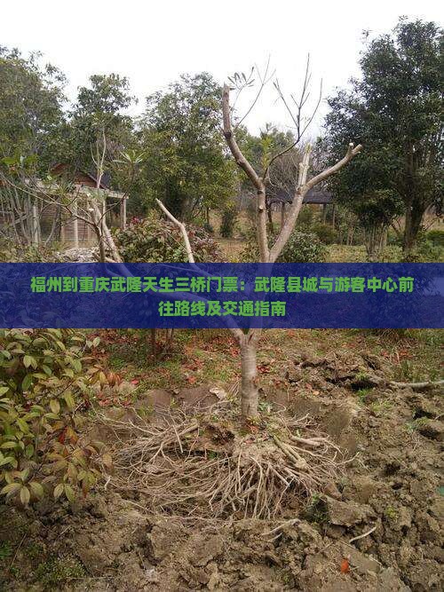 福州到重庆武隆天生三桥门票