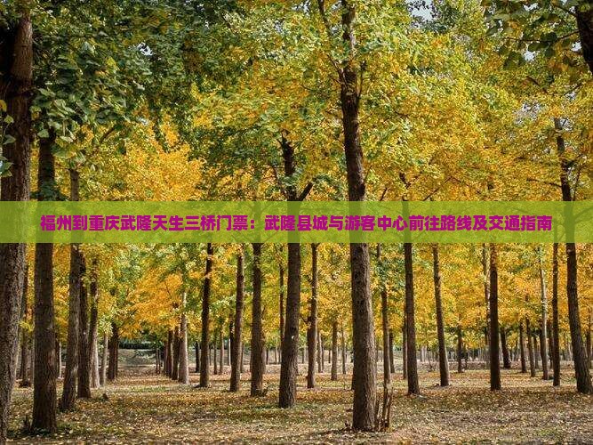 福州到重庆武隆天生三桥门票
