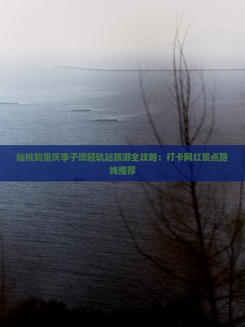 仙桃到重庆李子坝轻轨站旅游