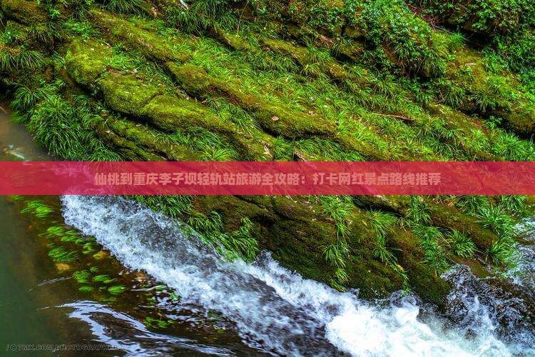 仙桃到重庆李子坝轻轨站旅游