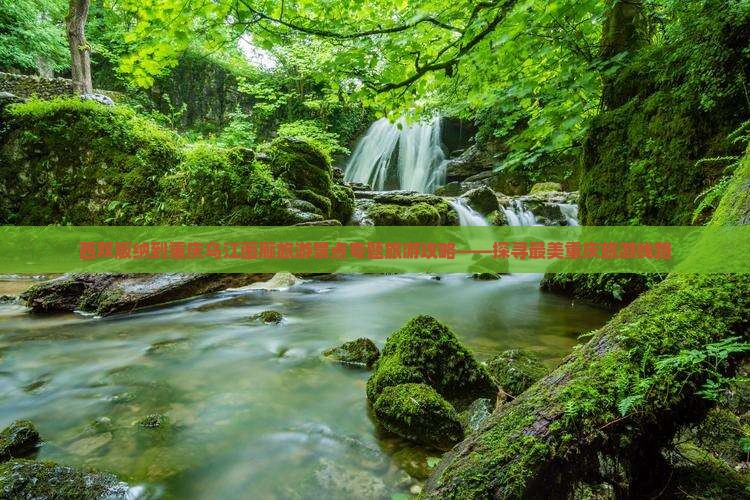 西双版纳去重庆乌江画廊自由行