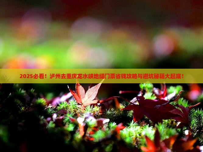 泸州去重庆龙水峡地缝门票