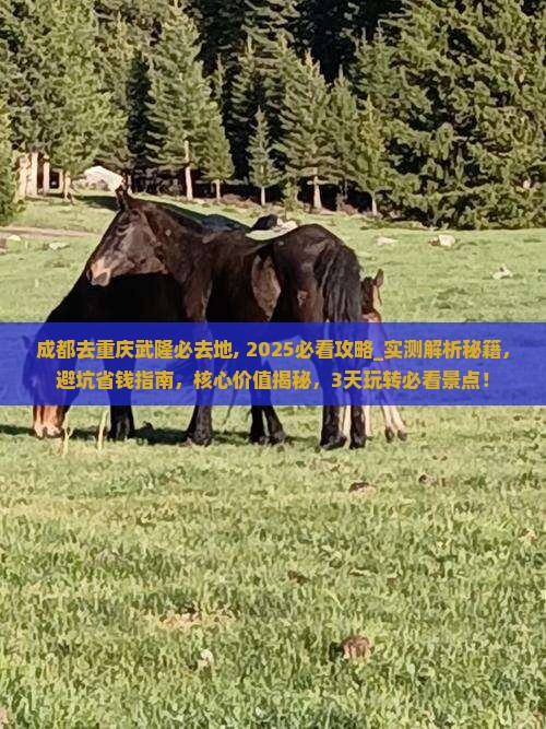 成都去重庆武隆必去地