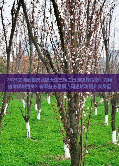 芜湖到重庆武隆天生三桥二日游