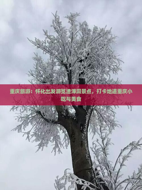 怀化去重庆渣滓洞旅游小吃