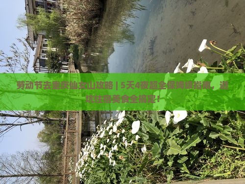 劳动节去重庆仙女山攻略