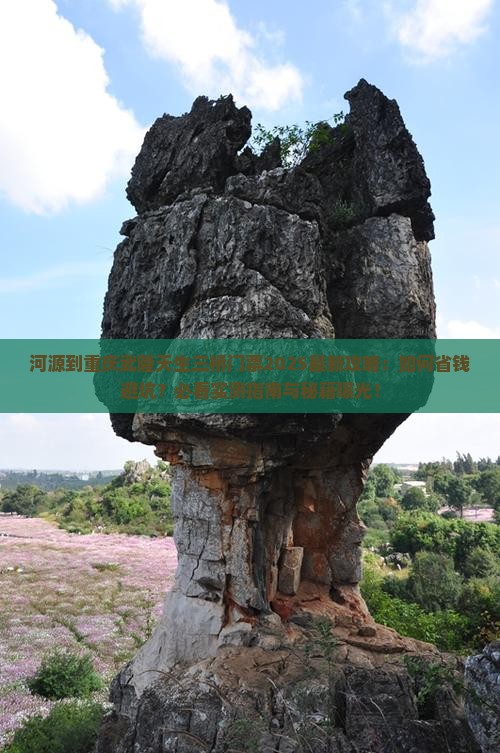 河源到重庆武隆天生三桥门票