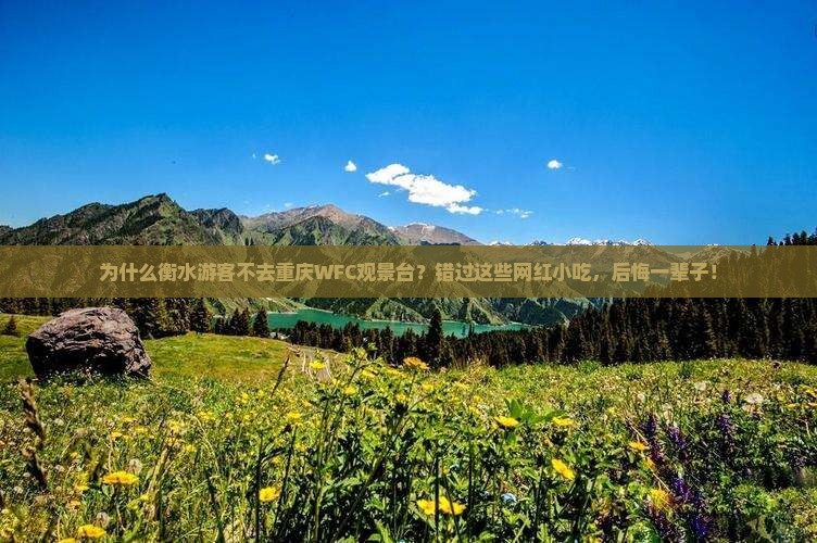 衡水到重庆wfc观景台旅游小吃