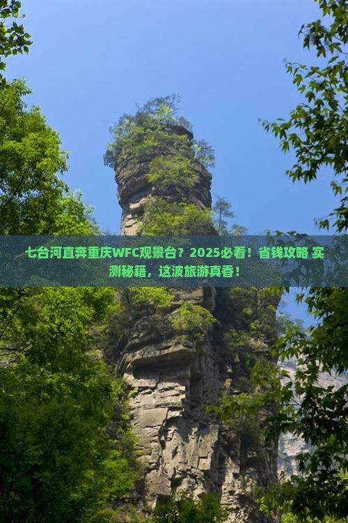七台河到重庆wfc观景台大型旅游团