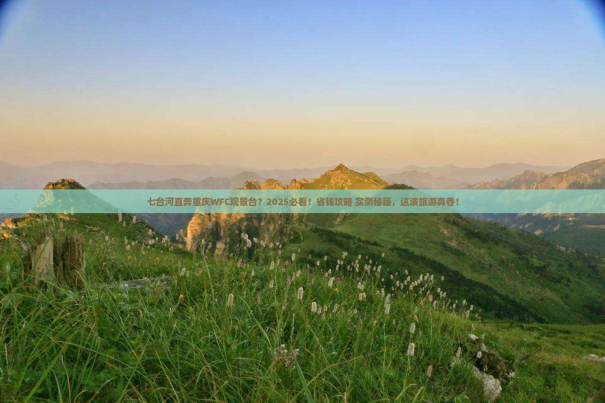 七台河到重庆wfc观景台大型旅游团