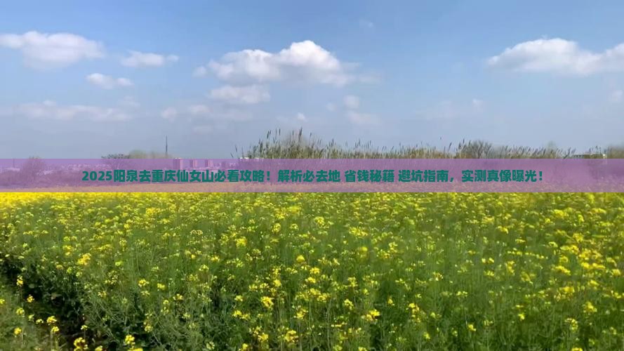 阳泉去重庆仙女山必去地