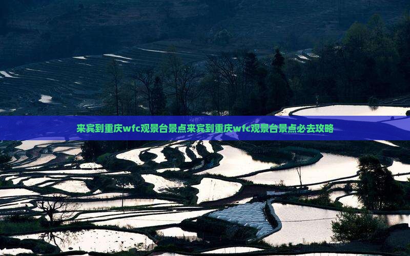 来宾到重庆wfc观景台景点
