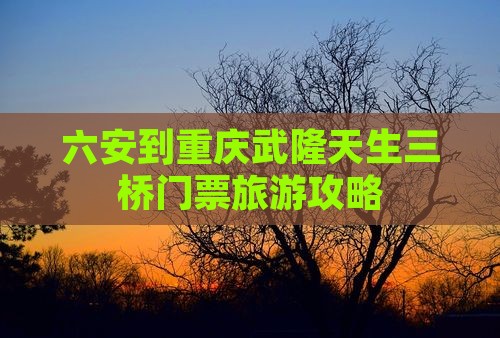 六安到重庆武隆天生三桥门票
