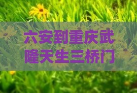 六安到重庆武隆天生三桥门票